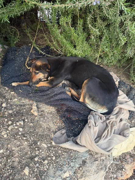 דרוש מנהל תוכן בבדרום