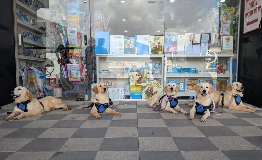 דרוש מוכר בחנות במרכז