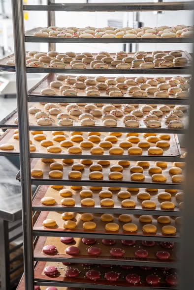 דרוש איש בריסטה במבשרת ציון