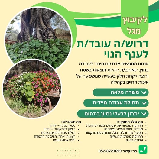 דרוש תפעול בהשרון