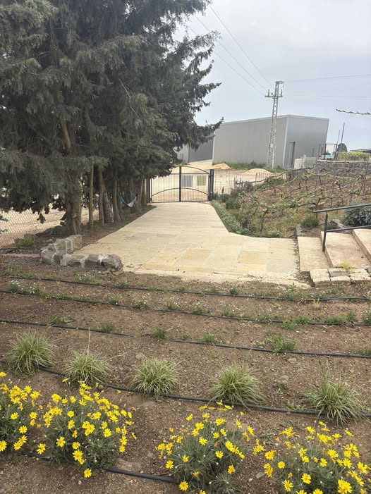 דרוש איש בריסטה בחדרה