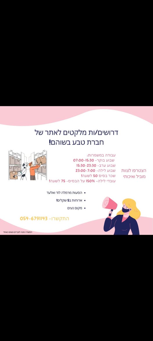 דרוש מלקט בשוהם