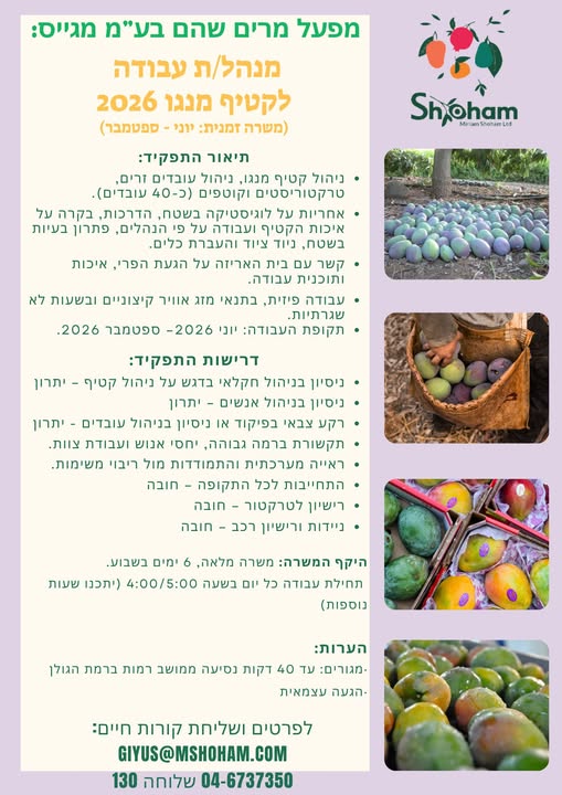 דרוש ניהול עבודה בטבריה