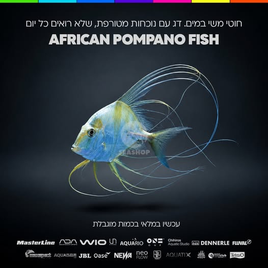 דרוש עובד/ת בתחום פרסום, עיצוב ויחסי ציבור בנתיבות