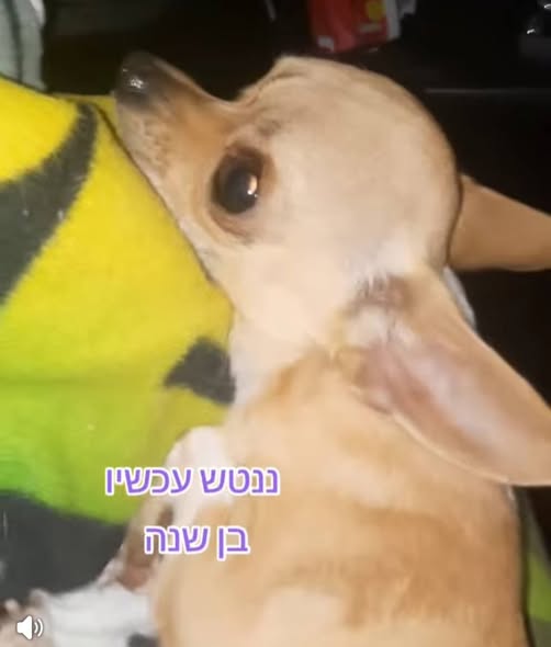 דרוש עובד/ת בתחום מסעדנות, בתי קפה וקייטרינג בחיפה