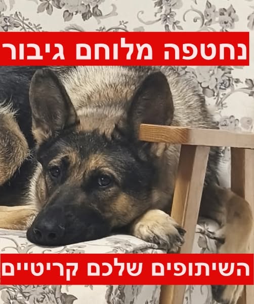 דרוש עובד/ת בתחום מלונאות ותיירות בבאר שבע