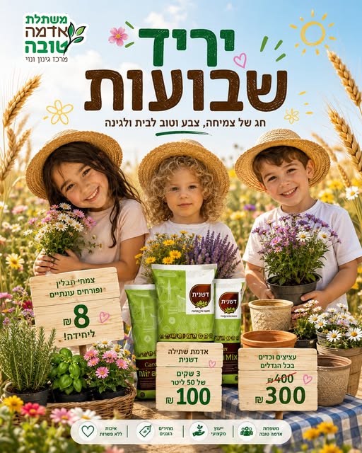 דרוש עובד/ת בתחום בינוי ונדלן בקריית גת