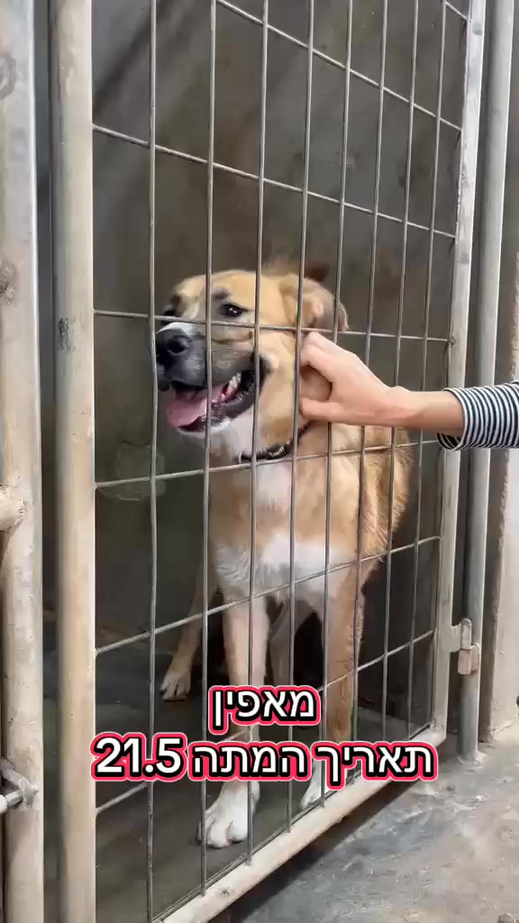 דרוש עובד/ת בתחום חקלאות בהשרון