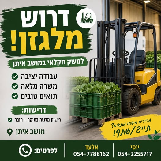 דרוש עובד/ת בתחום לוגיסטיקה ומחסנים בקרית גת
