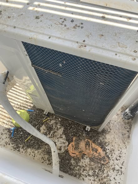 דרוש עובד/ת בתחום קמעונאות בנתיבות