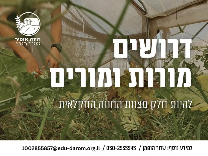 דרוש עובד/ת בתחום הוראה והדרכה בהנגב
