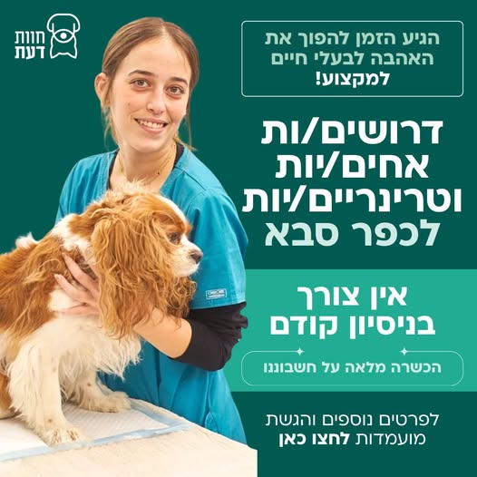 דרוש עובד/ת בתחום סטודנטים ונוער בכפר סבא