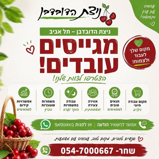 דרוש עובד/ת בתחום בינוי ונדלן בתל אביב