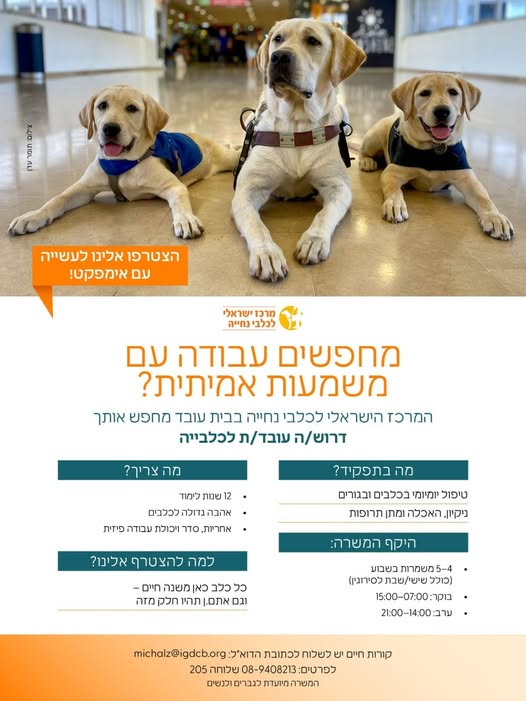 דרוש עובד/ת בתחום מכונות ותעשיה בראשון לציון