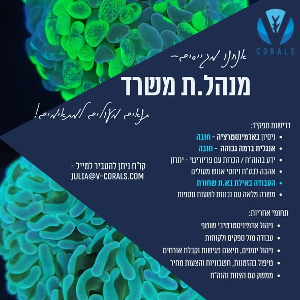 דרוש עובד/ת בתחום מכונות ותעשיה בשחורת