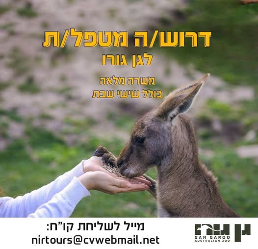 דרוש עובד/ת בתחום הוראה והדרכה בעפולה