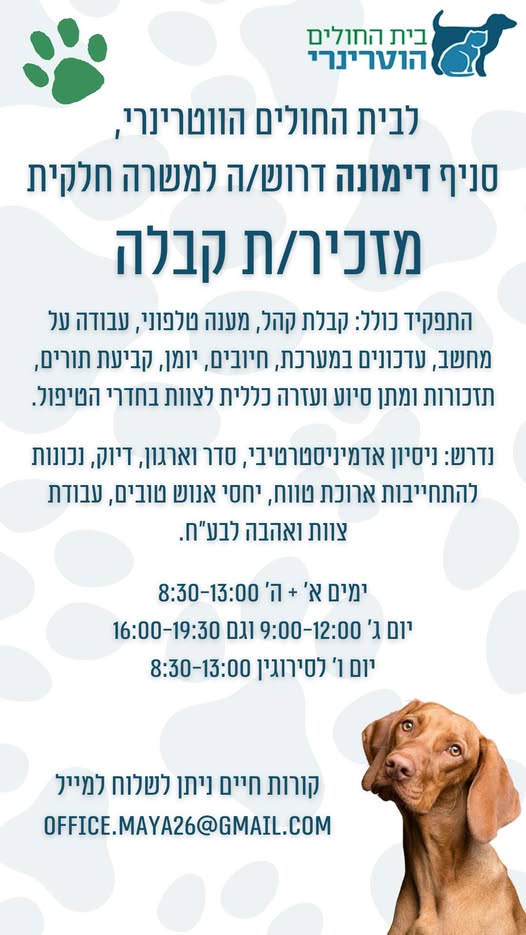 דרוש עובד/ת בתחום מנהלה ומזכירות בדימונה
