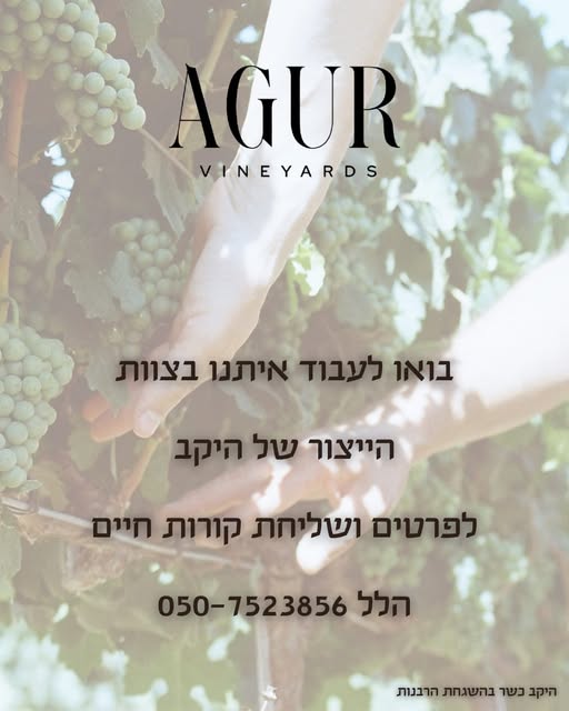 דרוש עובד/ת בתחום חיילים משוחררים בירושלים