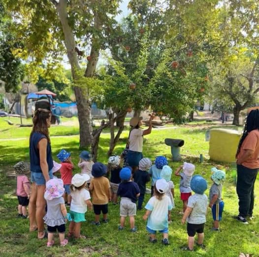 דרוש עובד/ת בתחום הוראה והדרכה בירוחם