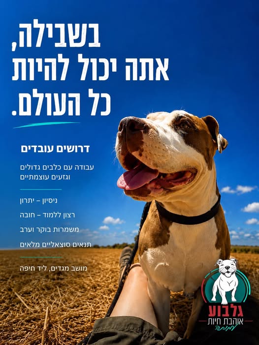 דרוש עובד/ת בתחום מכונות ותעשיה בחיפה