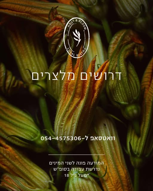 דרושים מלצרים! צוות אחרי צבא כולל עבודה בסופי שבוע במודיעין