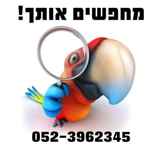דרוש/ה מוכר ות בחנות במבשרת ציון