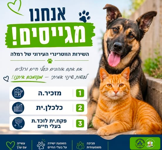 דרושים מזכירות ועבודה משרדית ברמלה