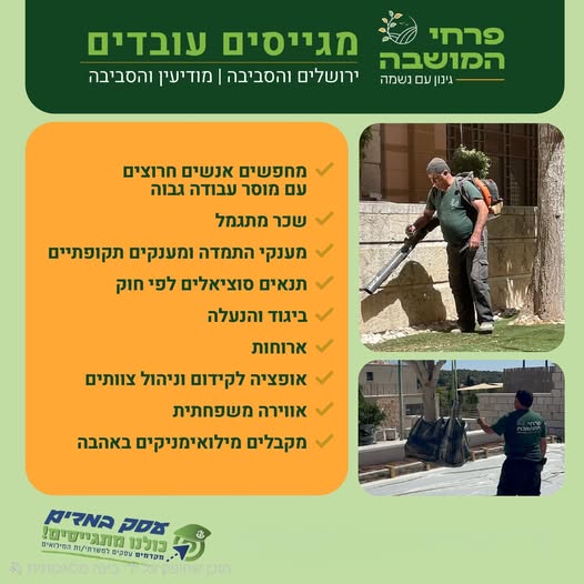 דרוש/ה גינון בירושלים