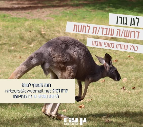 דרוש/ה מוכר ות בחנות בעפולה
