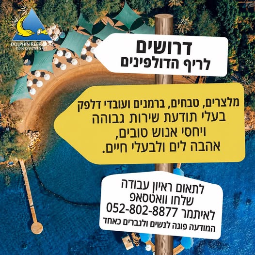 דרושים טבחית, עובדי דלפק ומבשל ות באילת