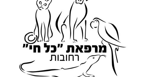 דרוש/ה טיפול בבעלי חיים ברחובות