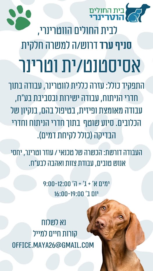 דרוש/ה אסיסטנט/ית וטרינר. נדרשת הכשרה או ניסיון רלוונטיים ומחויבות לטווח ארוך בערד