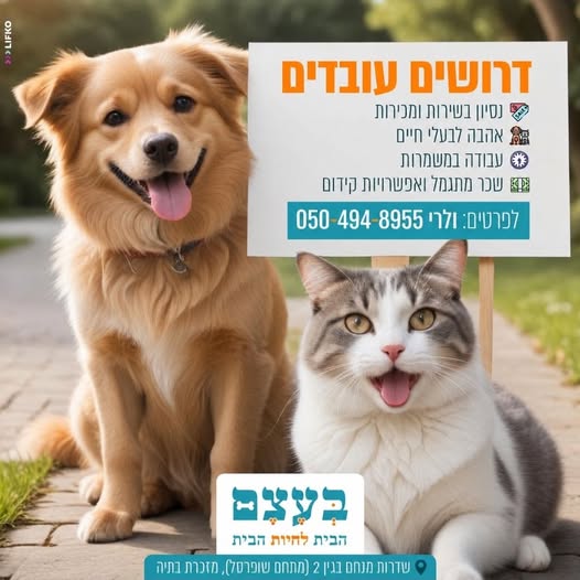 דרושים עובדים חרוצים,רציניים ובעיקר מכירתיים לתפקיד שירות ומכירה(לטווח ארוך). לתחילת עבודה מיידית בחנות! במזכרת בתיה