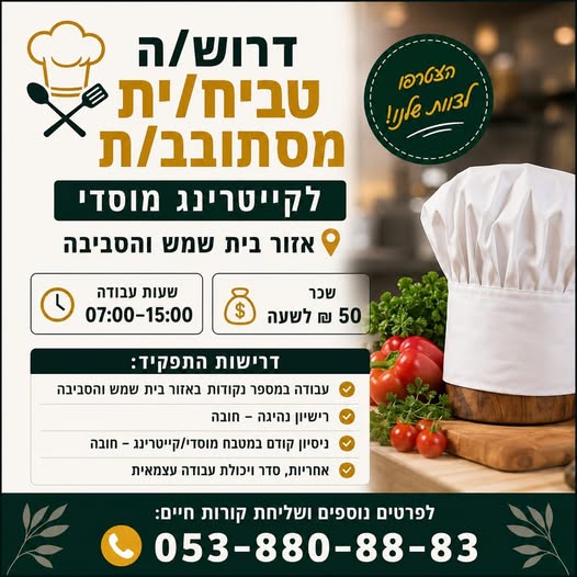 דרוש/ה טבח/ית מסתובב/ת לקייטרינג מוסדי דרוש/ה טבח/ית מסתובב/ת לקייטרינג מוסדי… עוד בבית שמש