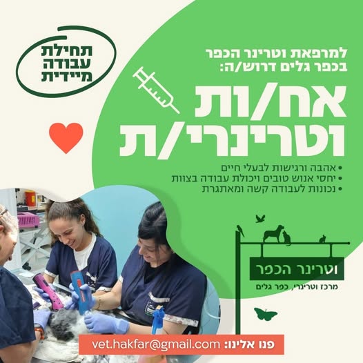 דרוש/ה אח/ות וטרינרית למשפחת וטרינר הכפר בכפר גלים! מרפאת וטרינר הכפר מחפשת לצרף אח/ות וטרינרית עם לב גדול, אהבה לבעלי חיים ורצון להצטרף לצוות משפחתי וחם. זו ההזדמנות שלך לעבוד במקום עם משמעות – עבודה יום - יומית עם בעלי חיים – ולחולל שינוי א בחיפה