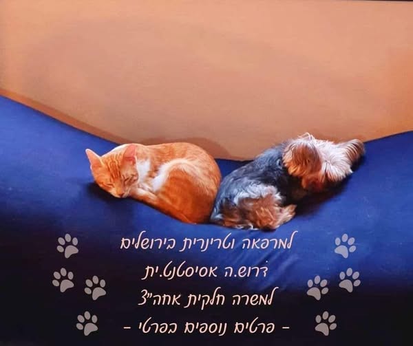 דרוש/ה.ה אסיסטנט.ית למשרה חלקית אחה