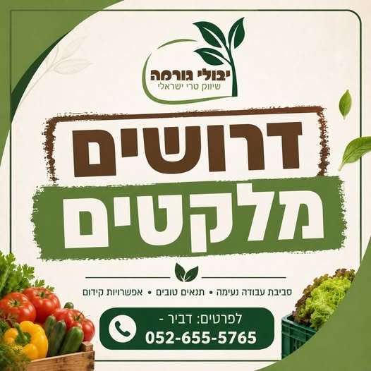 דרושים מלקטים ליבולי גורמה בבנימינה! *מלקטים/ות למשמרת ערב*