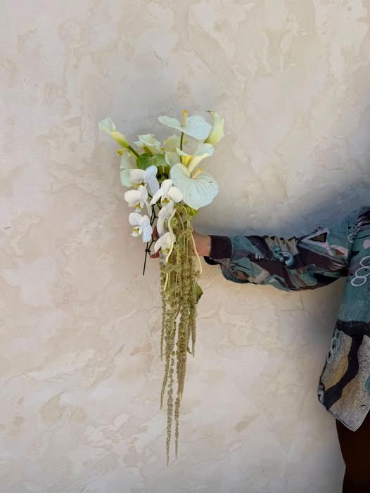 דרוש/ה מנהלת חנות עם ראש גדול, אנרגיה טובה ואהבה לאנשים, אסתטיקה ומכירות. אנחנו מחפשים מישהי שתיקח אחריות על החנות ותהיה הלב שלה ביום יום בקיסריה