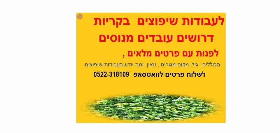 דרוש/ה עובד מנוסה בעבודות בנין ושיפוצים, עובד מקצועי ש - גר באיזור הקרוב , מנוסה בעבודות תיקוני טיח , שליכט צבעוני ועבודות גמר , ופינישים . לפנות עם פרטים מלאים , הכוללים : גיל, מקום מגורים ,מה הנסיון ומה יודע בעבודות שיפוצים בחיפה