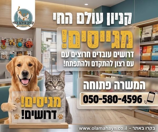 דרושים עובדי דלפק ומכירות ועובדי מחסן ולוגיסטיקה (כולל אפשרות לתפקיד משולב). מה אנחנו מחפשים? ​לדלפק ולמכירות: תודעת שירות גבוהה, חיוך רחב, סדר וארגון. ​למחסן: ניהול וסידור הזמנות, פריקת סחורה, אירגון מלאי ויסודיות. ​לשני התפקידים: ​זמינות בנתיבות