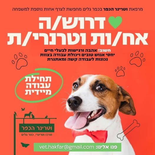 דרוש/ה אח/ות וטרינרית למשפחת וטרינר הכפר בכפר גלים! מרפאת וטרינר הכפר מחפשת לצרף אח/ות וטרינרית עם לב גדול, אהבה לבעלי חיים ורצון להצטרף לצוות משפחתי וחם. זו ההזדמנות שלך לעבוד במקום עם משמעות – עבודה יום - יומית עם בעלי חיים – ולחולל שינוי א בעכו