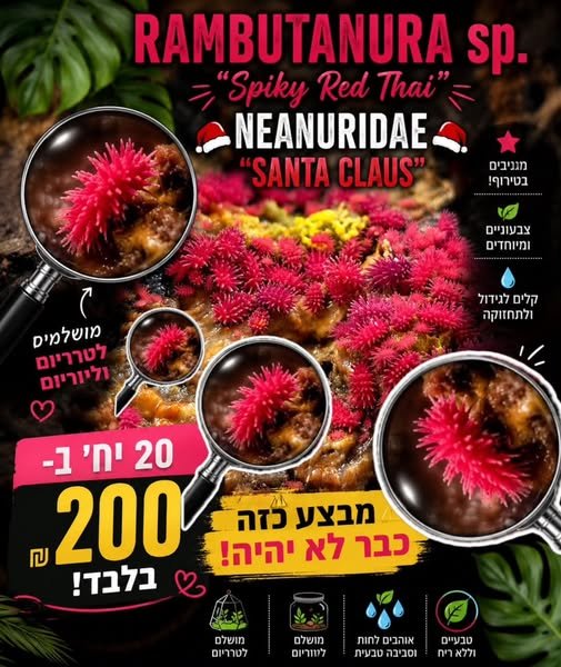דרוש/ה רכז/ת הדרכה בהשרון