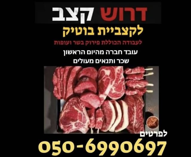 דרוש/ה קצב