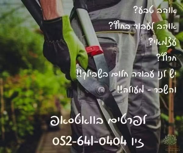 דרוש/ה עובד חרוץ ואחראי לחברת גינון שעובדת במלונות בצפת