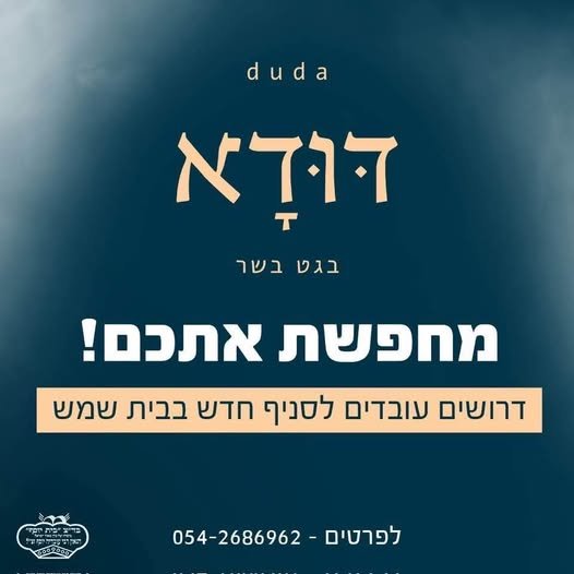 דרושים את הלב של המטבח ב