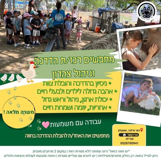 דרוש/ה רכז/ת הדרכה וניהול צהרון למשרה מלאה. אנחנו מחפשים מישהו/י שאוהב/ת אנשים ובעלי חיים, יודע/ת להוביל צוות, לקחת אחריות ולהפוך רעיונות לעשייה. התפקיד משלב ניהול והובלת מערך ההדרכה, עבודה עם ילדים, ליווי מדריכים, בניית פעילויות ותכנים, אח באשקלון