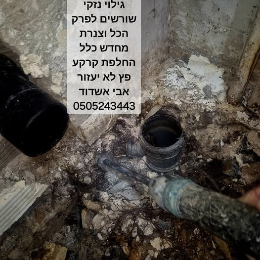 דרוש/ה עובד/ת איטום באשדוד