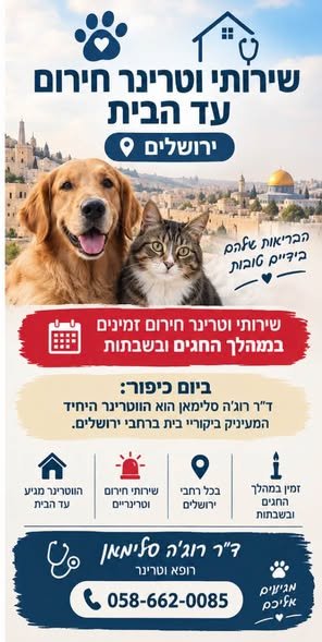 דרוש/ה מטפל/ת בבעלי חיים בירושלים