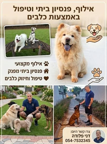 דרושים סתם מקום שישים לו אוכל בקערה. אתם מחפשים את הידיים הכי בטוחות ומקצועיות שיש. נעים להכיר, אני דני פלודה – מאלף כלבים מומחה לבעיות התנהגות עם מעל 15 שנות ניסיון, ואני מזמין את הכלב שלכם לפנסיון ביתי - בוטיק אמיתי בנתניה (מגיעים אליי מכל