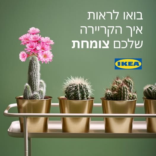 דרושים תפקיד עם אחריות, אנשים והרבה עשייה? אנחנו מחפשים אתכם! אנחנו באיקאה אשתאול מגייסים אחראי/ת משמרת לקו הקופות!
